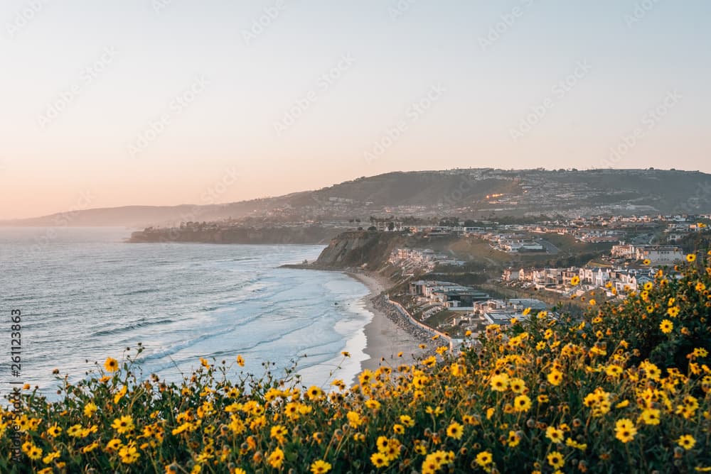 Ocean Views and More: The OC Coastal Tour for Your Weekend Getaway